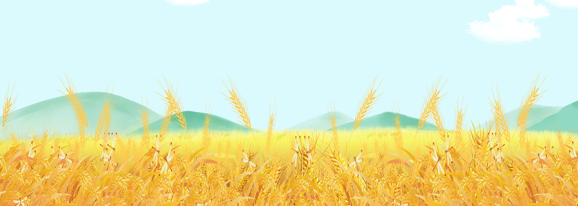 #nivo-gallery-desc_13 Pngtreesimple wheat field background banner_11261881